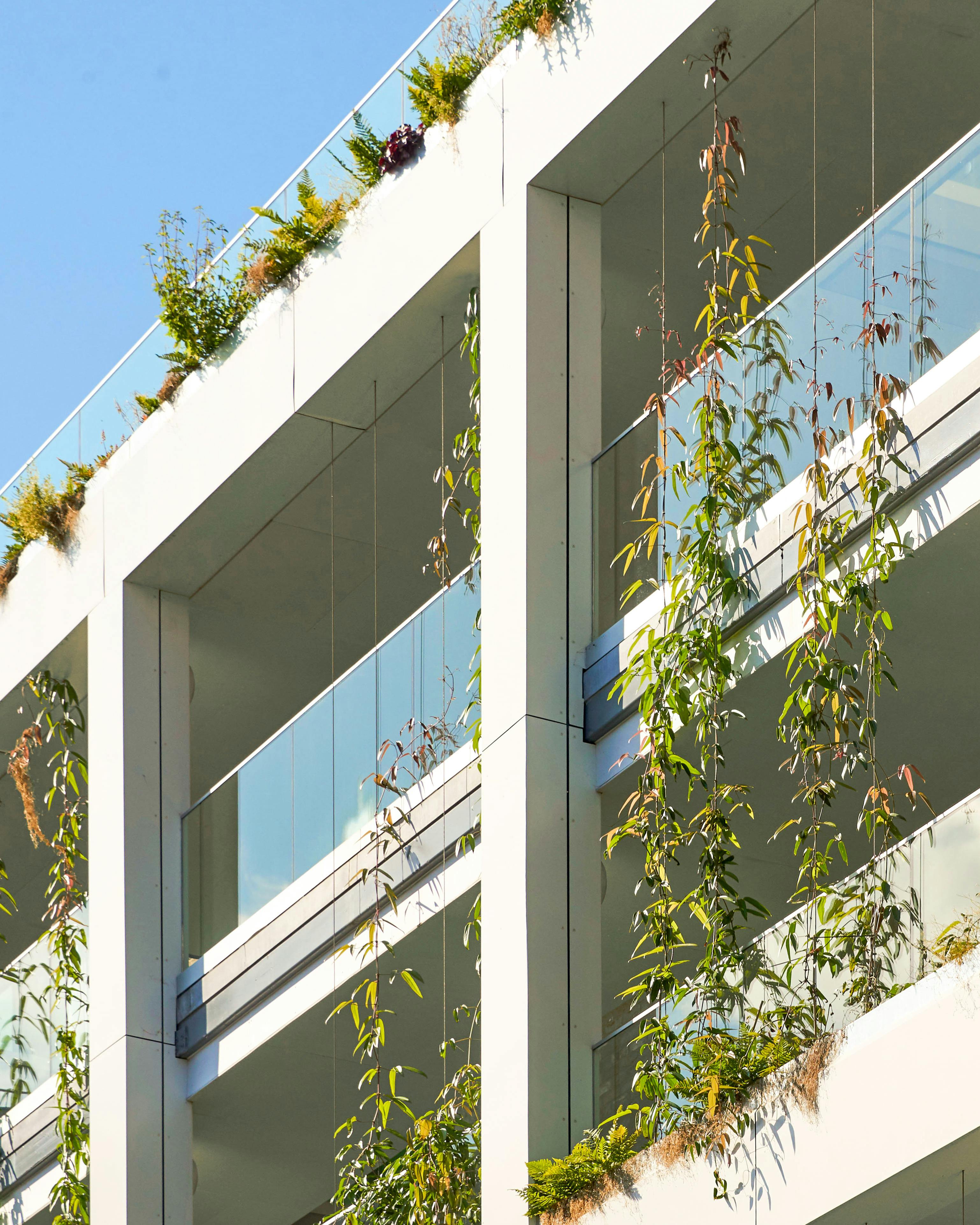 Dalston Western Curve- Balconies